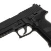 Sig Sauer P226 Railed -5578