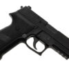 Sig Sauer P226 Railed -5580