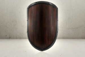 RFB Kite Shield Wood-0