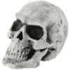 Latex Skull - Bone White-14062