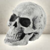 Latex Skull - Bone White-0