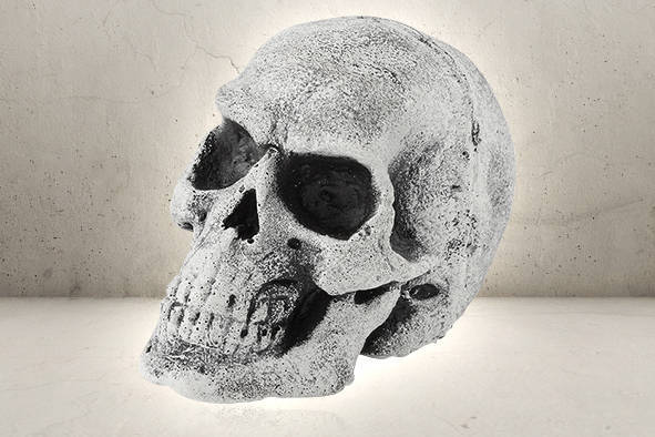 Latex Skull - Bone White-0