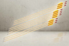 10x Træ pile med alu spids-0