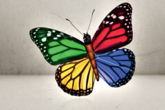 Stor Pop-Up drage - Butterfly-0