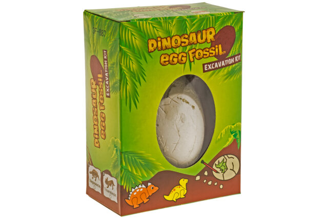 Dinosaur Egg Fossil-19962