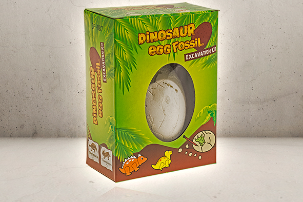Dinosaur Egg Fossil-0