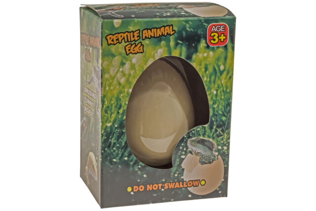 Little Reptile Animal Egg-19816