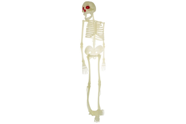 Stort Plastik Skelet - 60cm-32199