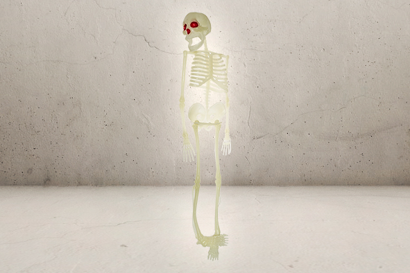 Stort Plastik Skelet - 60cm-0