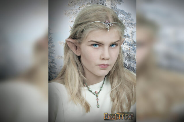 Elven Ears - Small-30430