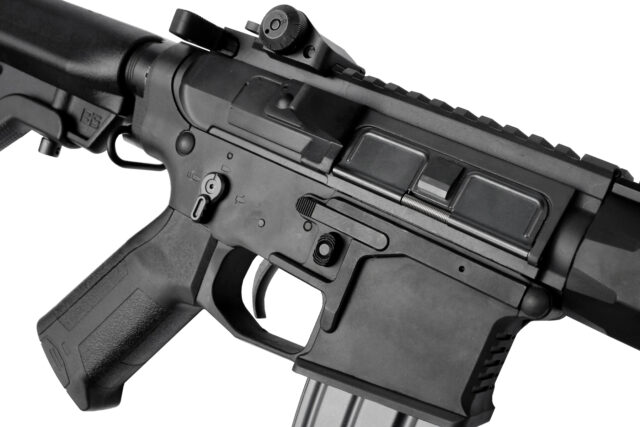 E&L AR Mur Custom Carbine Platinum-33991
