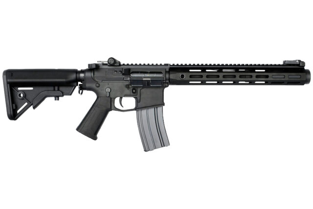 E&L AR Mur Custom Carbine Platinum-33989