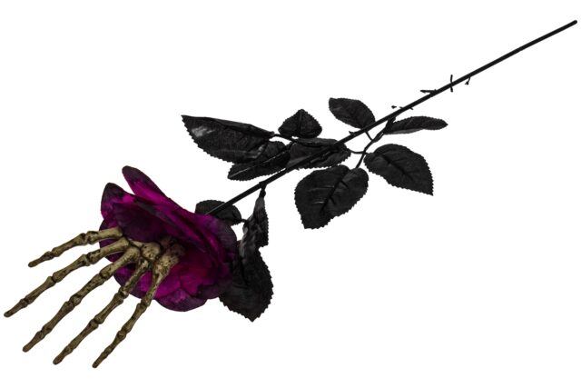Black Skull Rose-36112