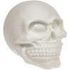 Zoelibat Fake Skull-35801