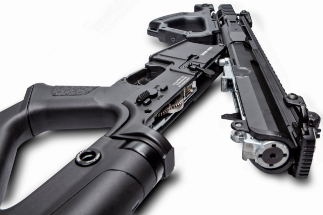Hera Arms CQR - Dualtone-37594