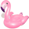 Her ser du bade Flamingoen