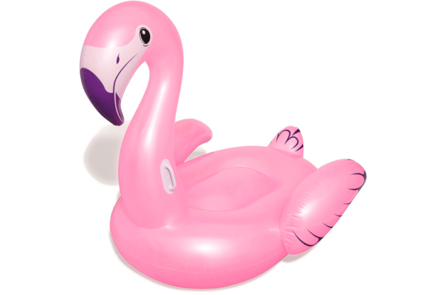 Her ser du bade Flamingoen