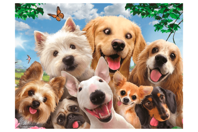 3D Puzzle - Hunde Selfies!-38907