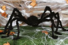 Billede af den uhyggelige edderkop