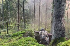 Action Ungdomstur Sverige 2026