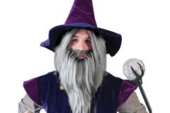 Troldmands Paryk & Skæg