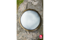 Buckler skjold - Steel