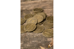 10 x Bronze Eagle Metal Coins / Mønter - Rollespil