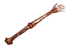 Blodig Skelet Arm i hårdt skum med stropper  - 740mm